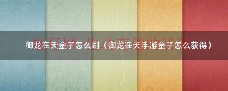御龙在天金子怎么买划算（御龙在天金子怎么交易）
