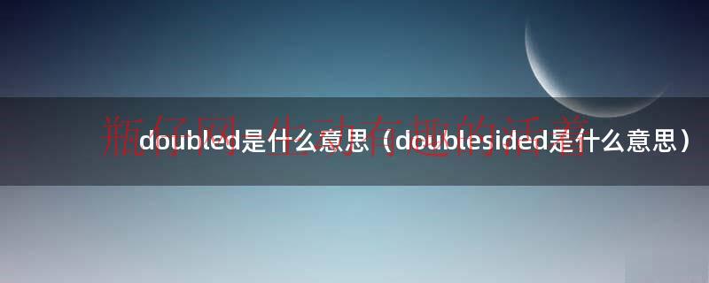 double什么意思翻译（double是什么意思英文）