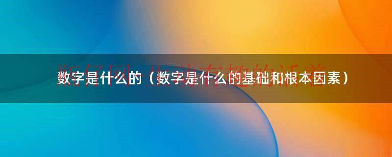 数字是指（解释一下什么是数字）