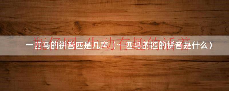 一匹马的匹有几个读音（一匹马的匹念第几声）
