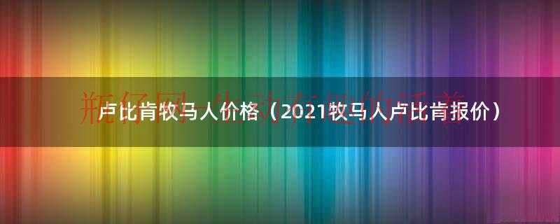 21年牧马人卢比肯价格（牧马人卢比肯在2018年市场售价）