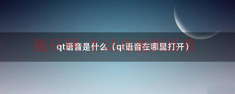 qt语音手机版下载（qt语音是什么）