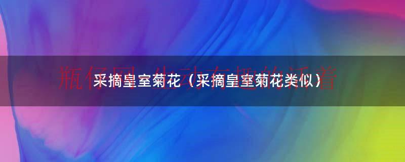 采摘皇菊（采摘甘菊）