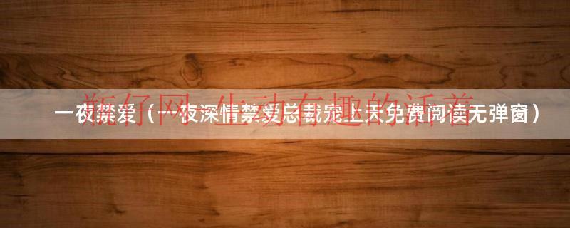 一夜深情禁爱总裁宠上天免费阅读无弹窗（一夜深情禁爱总裁太撩人全文免费阅读）