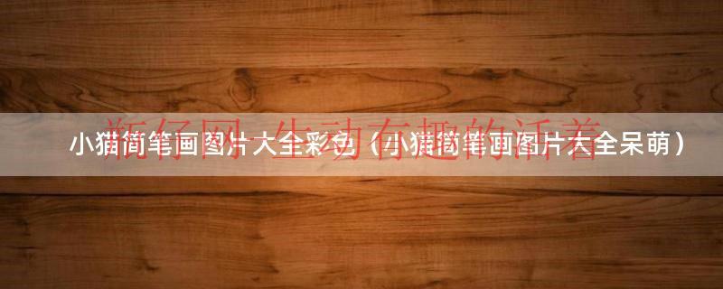 小猫简笔画可爱图片（最简单的小猫简笔画图片大全彩色）