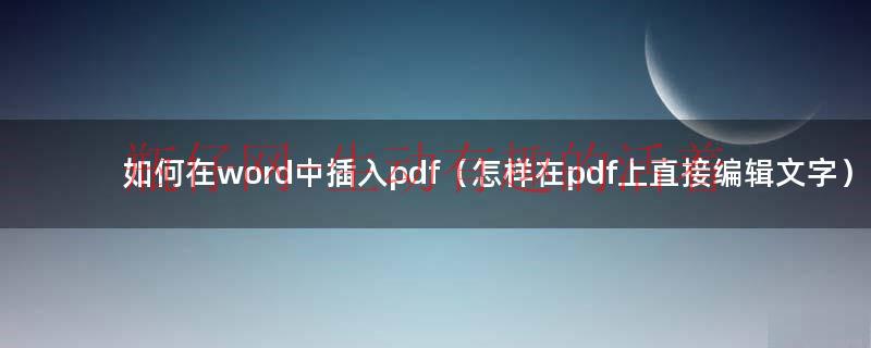 在pdf中怎么插入word的文字（word怎么在pdf开头插入pdf）