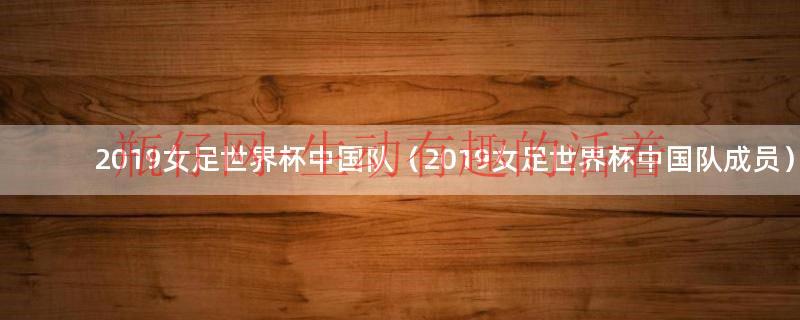 2019年女足世界杯中国队回顾（2019女足世界杯中国队员名单）