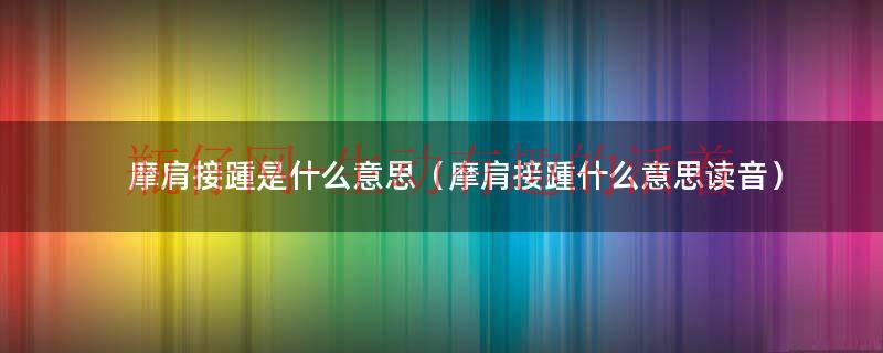 摩肩接踵的踵怎么读（摩肩接踵的意思和含义是什么）