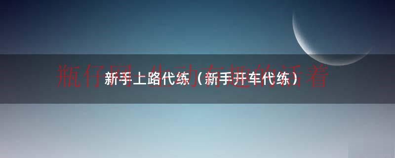 新手上路陪驾练车（代练通新手代练教程）