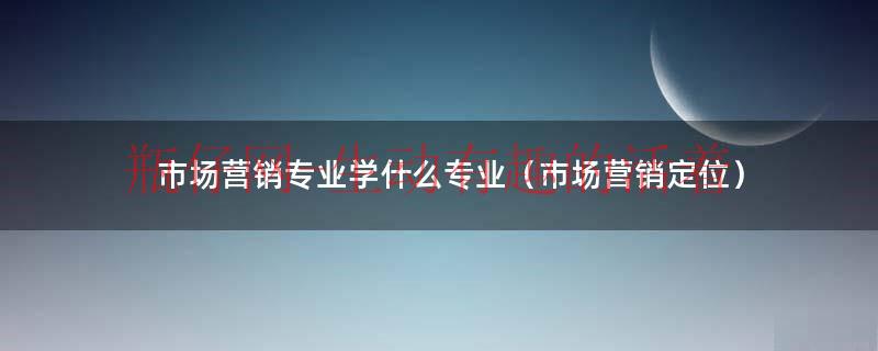 市场专业是学什么的（市场 专业）