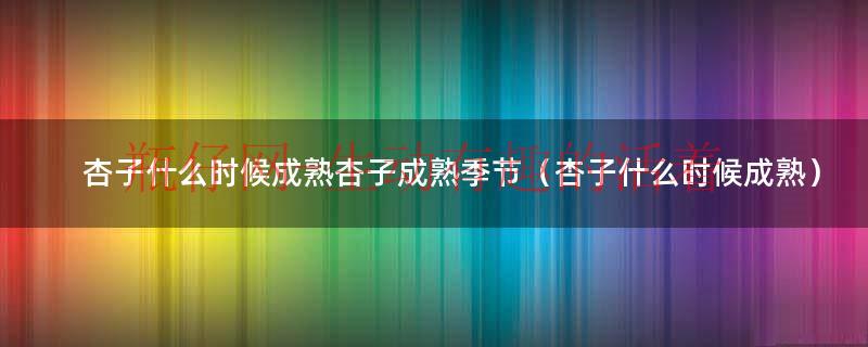 杏子什么时候成熟最好吃（杏子什么时候成熟味道怎么样）