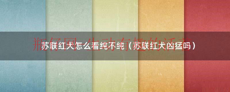 苏联红犬优缺点（苏联红犬是什么狗）