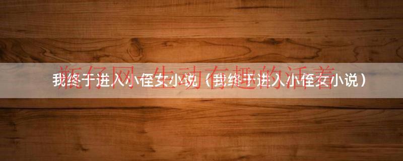我终于进入小侄女小说（我终于进入小侄女小说）