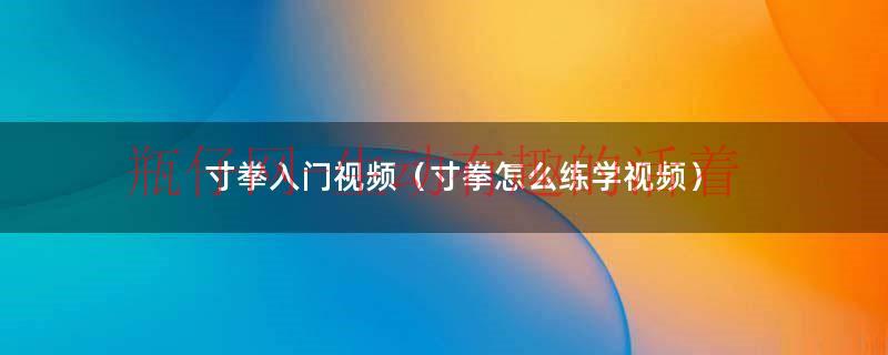 寸拳教程视频（寸拳初学者教学视频）