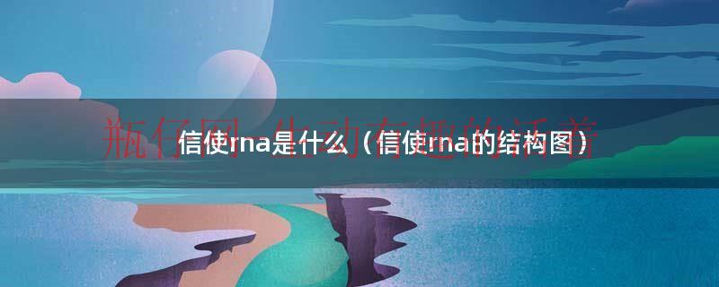 信使是做什么的（信使dna是什么）
