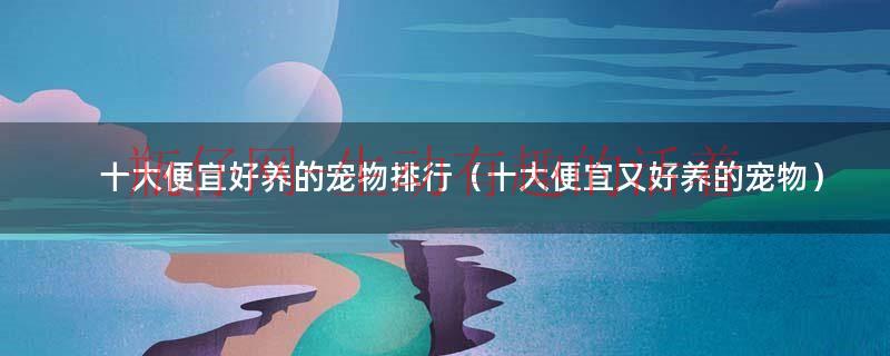 有哪些便宜好养的宠物（便宜好养干净的宠物）
