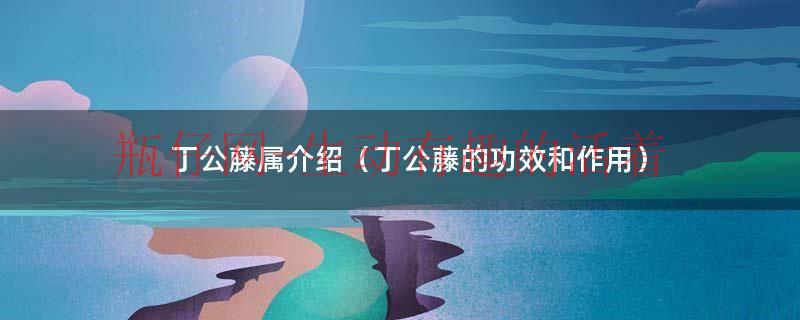 丁公藤属介绍（丁公藤的功效和作用）