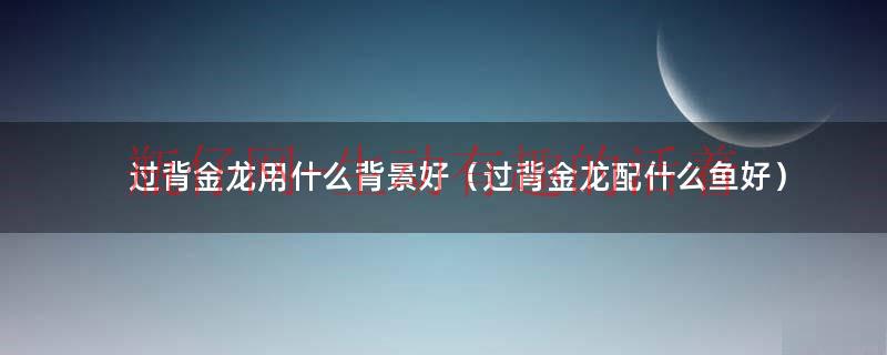 过背金龙用什么背景好（过背金龙配什么鱼好）