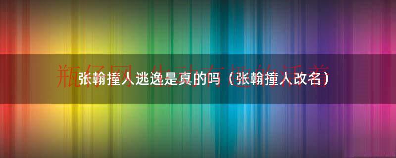 张翰撞人逃逸是真的吗（张翰撞人改名）